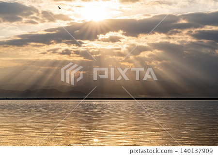 晨曦傾瀉在海面和鳥兒身上。 晨曦傾瀉在海面和鳥兒身上。 140137909