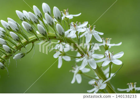 Okatrano Okatrano 140138233