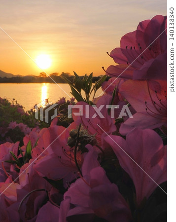 村上池和杜鵑花的日落(香川縣善辻市) 村上池和杜鵑花的日落(香川縣善辻市) 140138340