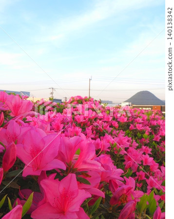 Azaleas at Murakami Pond and Mount Sanuki Fuji (Zentsuji City, Kagawa Prefecture) Azaleas at Murakami Pond and Mount Sanuki Fuji (Zentsuji City, Kagawa Prefecture) 140138342