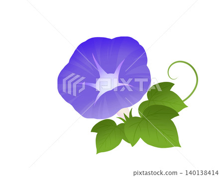 牽牛花 A-2 140138414