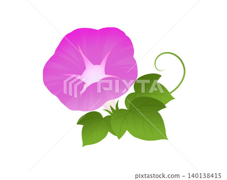 牽牛花 A-3 牽牛花 A-3 140138415