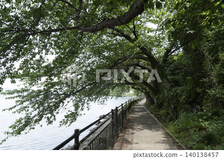 A scene along the western shore of Okishima Island as spring arrives. A scene along the western shore of Okishima Island as spring arrives. 140138457