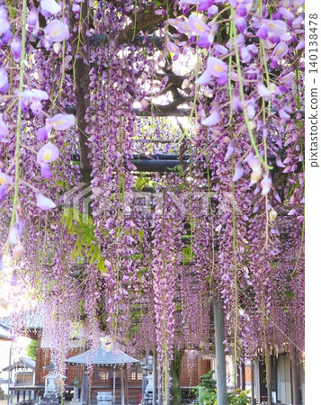 萬福寺2026(香川縣三豐市高田町) 萬福寺2026(香川縣三豐市高田町) 140138478