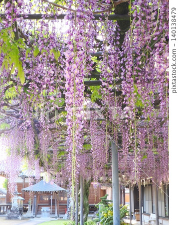 萬福寺2026(香川縣三豐市高田町) 萬福寺2026(香川縣三豐市高田町) 140138479