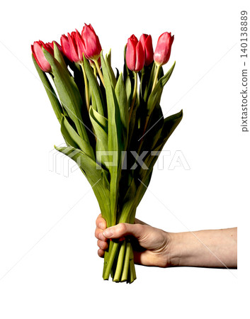 Hand holding bouquet of red tulips isolated on white background vertical. Flowers grouped tightly showing fresh petals and natural foliage. Floral concept expressing romantic gift connection Hand holding bouquet of red tulips isolated on white background vertical. Flowers grouped tightly showing fresh petals and natural foliage. Floral concept expressing romantic gift connection 140138889