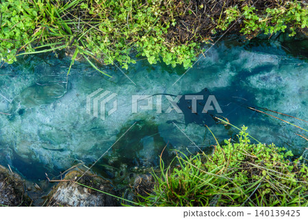 On-sen of Thailand,Fang Hot Spring at National Park in Chiang Mai,Thailand. 140139425