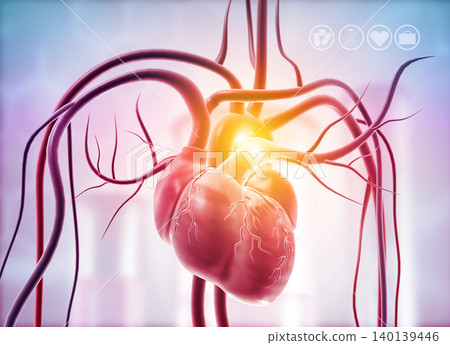 Anatomy of Human Heart Anatomy of Human Heart 140139446