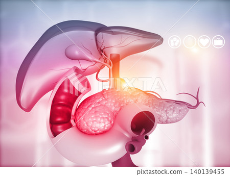 Anantomy of Liver stomach pancreas gallbladder and spleen Anantomy of Liver stomach pancreas gallbladder and spleen 140139455