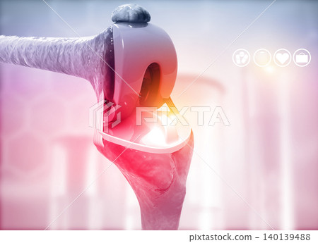 Anatomy of knee joint Anatomy of knee joint 140139488