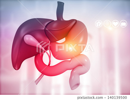 Anantomy of Liver stomach pancreas gallbladder and spleen Anantomy of Liver stomach pancreas gallbladder and spleen 140139500