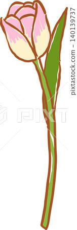 Pink Tulip Flower with Green Leaf Whimsical Doodle Hand Drawn 140139737