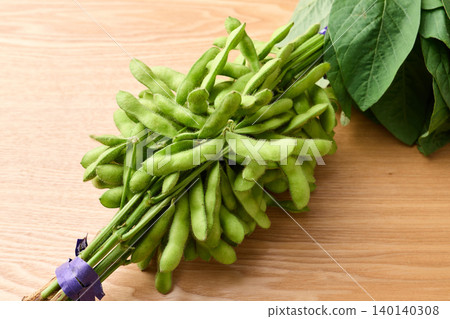 Green soybeans with branches Green soybeans with branches 140140308