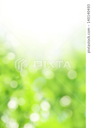 Fresh green leaves, sunlight filtering through the trees, copy space Fresh green leaves, sunlight filtering through the trees, copy space 140140493