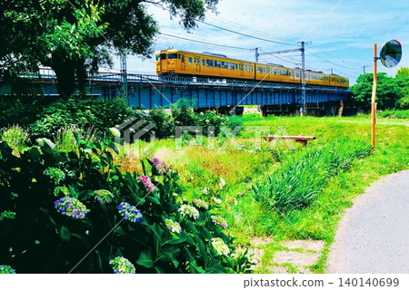A train running across a railway bridge surrounded by hydrangeas. A train running across a railway bridge surrounded by hydrangeas. 140140699