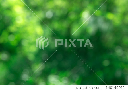 Green bokeh background and sunlight Green bokeh background and sunlight 140140911