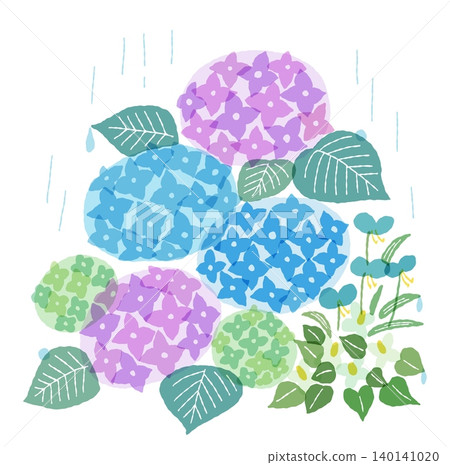 Clip illustrations of June flowers: hydrangeas, dayflowers, and houttuynia cordata flowers. Clip illustrations of June flowers: hydrangeas, dayflowers, and houttuynia cordata flowers. 140141020