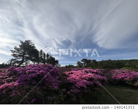盛開的宮山霧島杜鵑花和許多雲朵。 盛開的宮山霧島杜鵑花和許多雲朵。 140141351