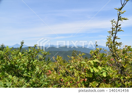 高畠山 140141456