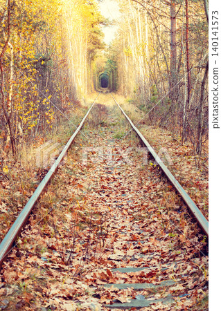 Old railway in the autumn forest. Natural tunnel Old railway in the autumn forest. Natural tunnel 140141573