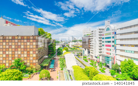 東京 Nikotama 街景 東京 Nikotama 街景 140141845