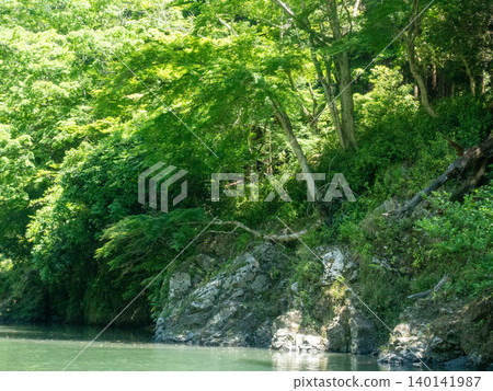 Autumn leaves and river Autumn leaves and river 140141987