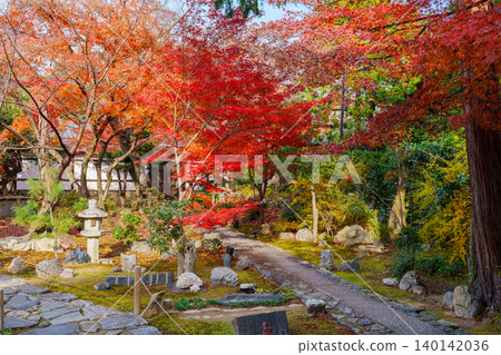 Autumn foliage scenery at Rokuoin Temple Autumn foliage scenery at Rokuoin Temple 140142036
