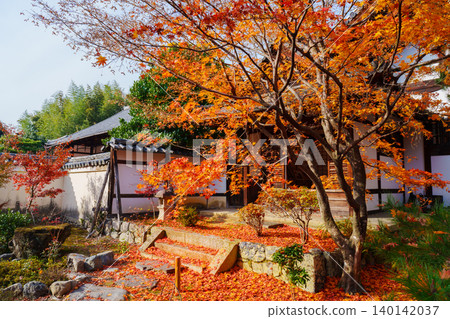 六王院的秋葉美景 六王院的秋葉美景 140142037