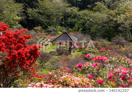 卡薩馬杜鵑公園:杜鵑花和休息區 卡薩馬杜鵑公園:杜鵑花和休息區 140142207