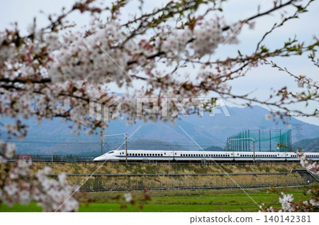 一列700號新幹線列車駛過櫻花盛開的美景。 一列700號新幹線列車駛過櫻花盛開的美景。 140142381