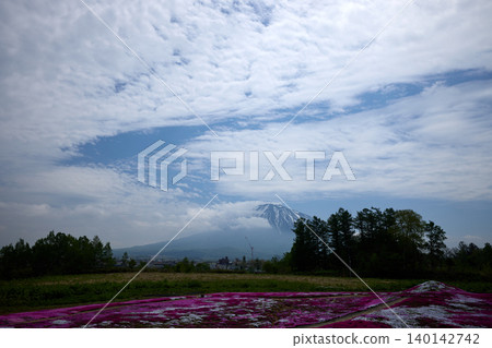 Shiba and Mt. Yotei 140142742