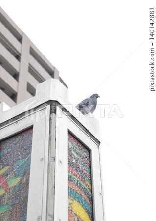A pigeon resting on a pedestal decorated with colorful tiles - a street corner scene. A pigeon resting on a pedestal decorated with colorful tiles - a street corner scene. 140142881
