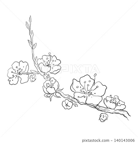 Hand Drawn Flowering Tree Branch Hand Drawn Flowering Tree Branch 140143006