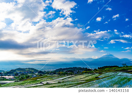 [山梨縣] 南阿爾卑斯市：中野梯田水稻插秧完成，可遠眺富士山。 140143158