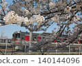 Sakura and railway 140144096