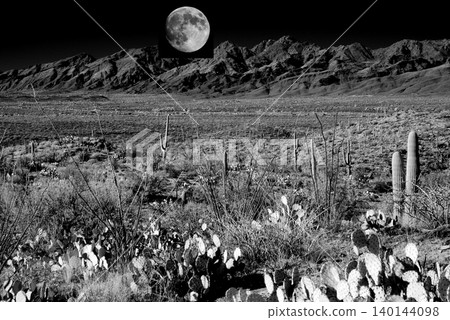 Moon Rising High Contrast Old Saguaro Cactus Sonora desert Arizona in Black and White 140144098