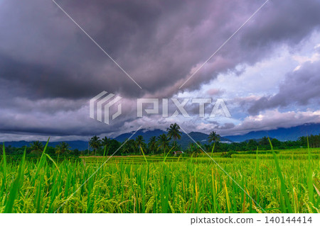 The natural beauty of the Indonesian mountains with beautiful tropical forests at sunrise The natural beauty of the Indonesian mountains with beautiful tropical forests at sunrise 140144414