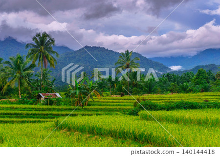 The natural beauty of the Indonesian mountains with beautiful tropical forests at sunrise 140144418