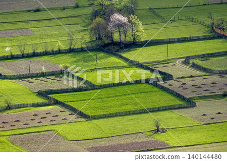 Lush green fields stretch under soft morning light Lush green fields stretch under soft morning light 140144480