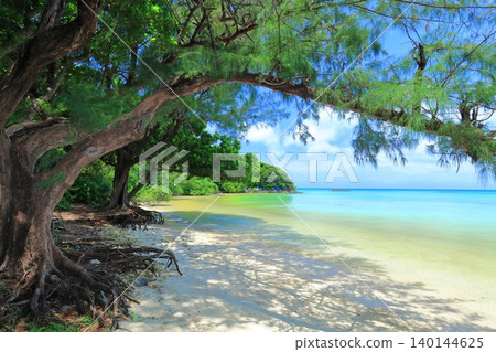[Okinawa Prefecture] Sunny Sokochi Beach (Ishigaki Island) 140144625