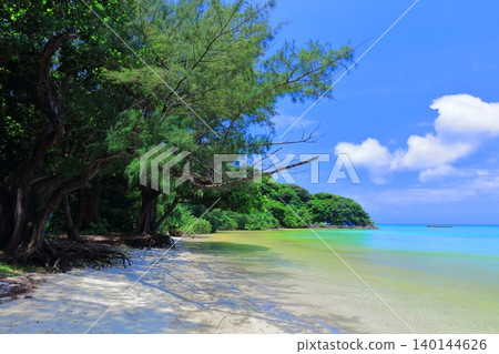 [Okinawa Prefecture] Sunny Sokochi Beach (Ishigaki Island) 140144626
