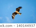 A kite soaring through the blue sky. 140144937