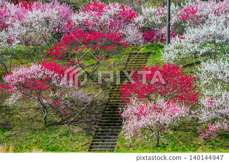 Hanamomo no Sato, Achi Village, Nagano Prefecture Hanamomo no Sato, Achi Village, Nagano Prefecture 140144947