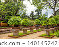 Hong Kong Bonsai Garden 140145242