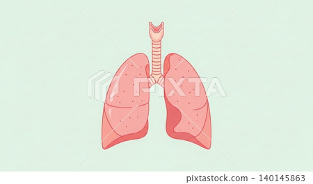 Medical - Human Lungs and Trachea Anatomy Illustration with Cardiac Notch on Light Green Background Medical - Human Lungs and Trachea Anatomy Illustration with Cardiac Notch on Light Green Background 140145863