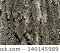 Tree trunk, wood grain 140145989