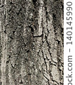 Tree trunk, wood grain 140145990
