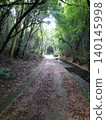 Forest road where light shines 140145998