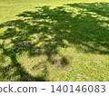 A landscape with lawns and shaded trees 140146083