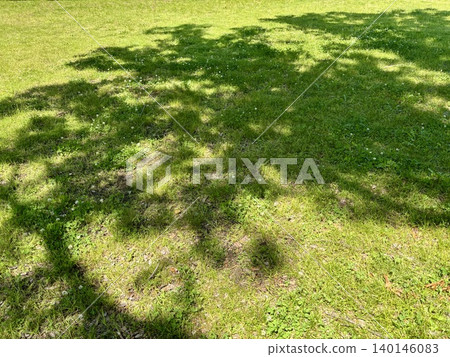 A landscape with lawns and shaded trees 140146083
